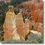 Zion, Bryce, Capital Reef Tours