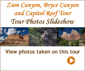 Zion Canyon, Bryce Canyon, Capitol Reef Gallery