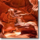 2013 Participant Gallery