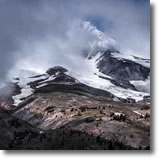 2015 Participant Gallery