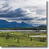 2016 Participant Gallery